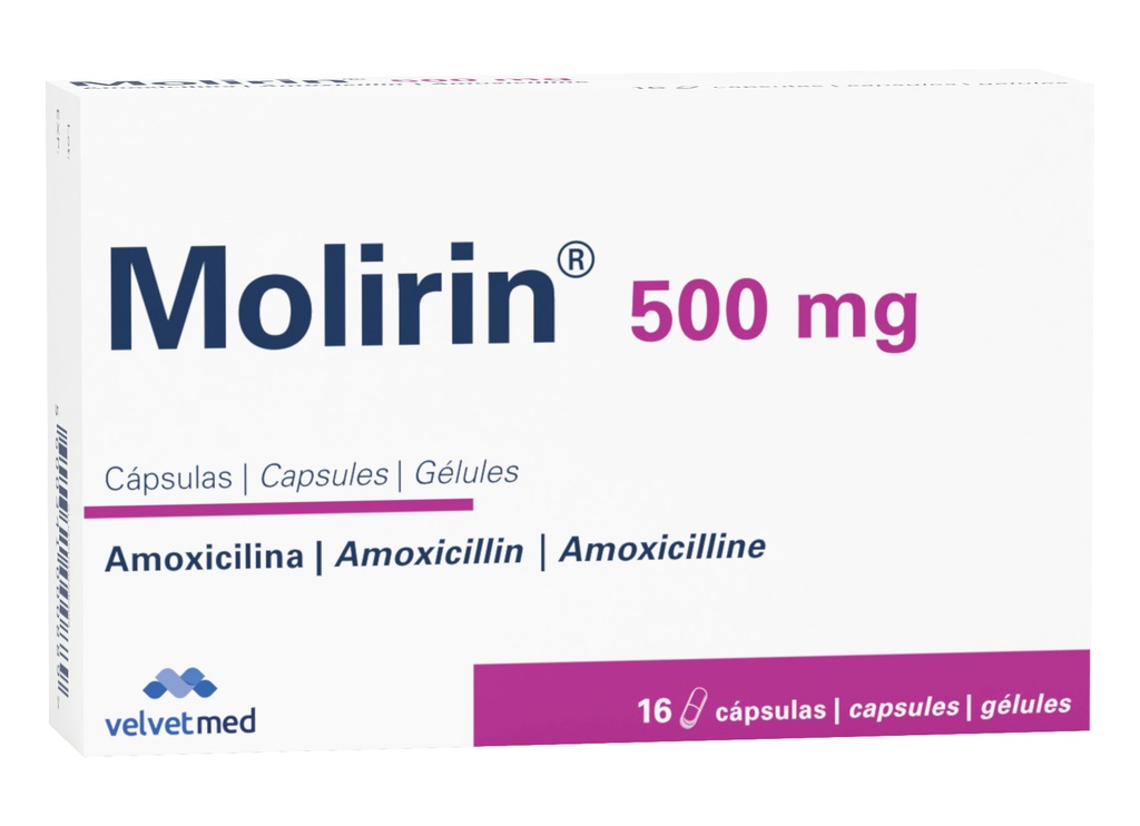 MOLIRIN (AMOXICILINA) 500MG 16 CAPS